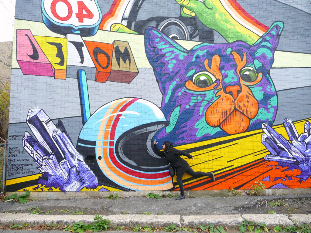 CATS rule! – WiderEye